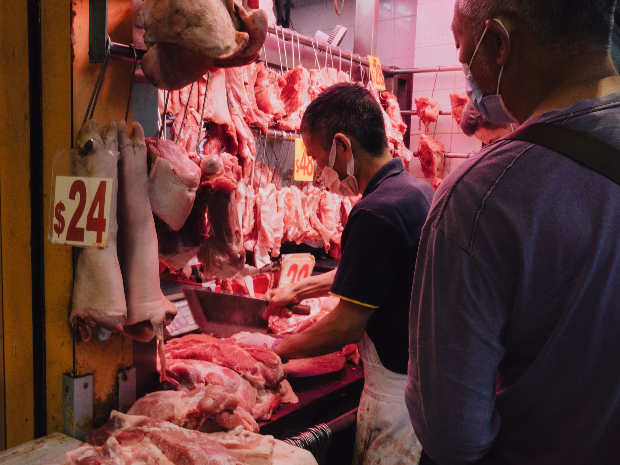 Exploring the World of Tea: From Leaf to Cup